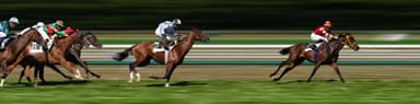 Glorious Goodwood