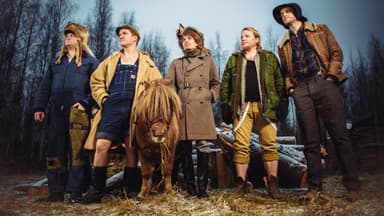 STEVE N SEAGULLS